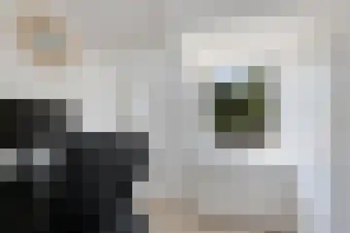 Boeijengastrjitte 72 Gauw thumbnail 26