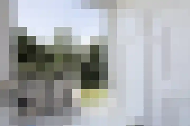 Boeijengastrjitte 72 Gauw thumbnail 27
