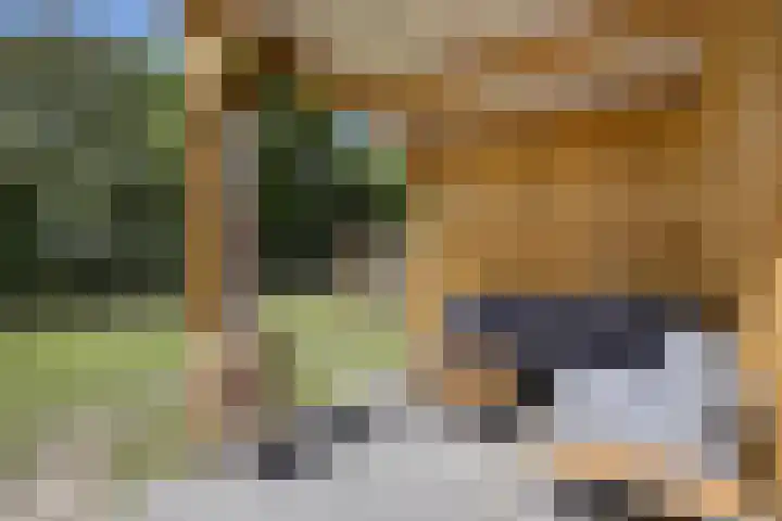 Boeijengastrjitte 72 Gauw thumbnail 37