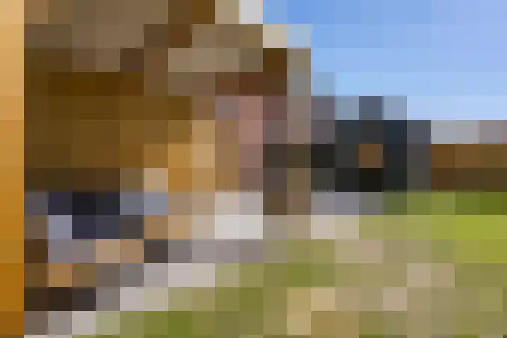 Boeijengastrjitte 72 Gauw thumbnail 38