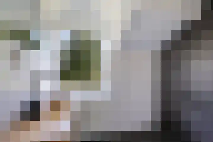 Boeijengastrjitte 72 Gauw thumbnail 4