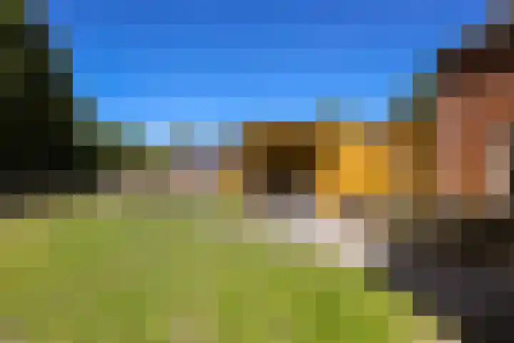Boeijengastrjitte 72 Gauw thumbnail 40