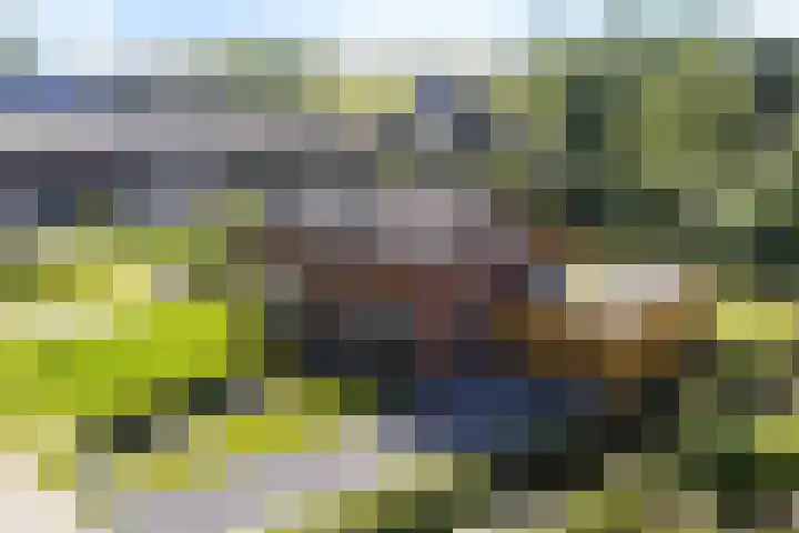 Boeijengastrjitte 72 Gauw thumbnail 43