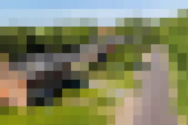 Boeijengastrjitte 72 Gauw thumbnail 45