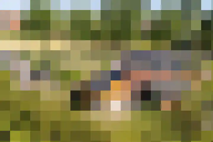 Boeijengastrjitte 72 Gauw thumbnail 46