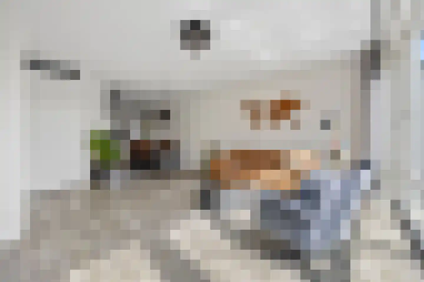 Boeijenkamp 66 Voorthuizen thumbnail 10