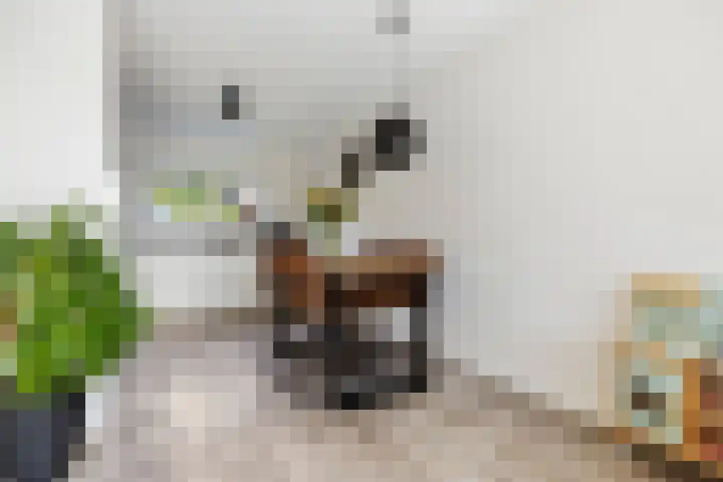Boeijenkamp 66 Voorthuizen thumbnail 11