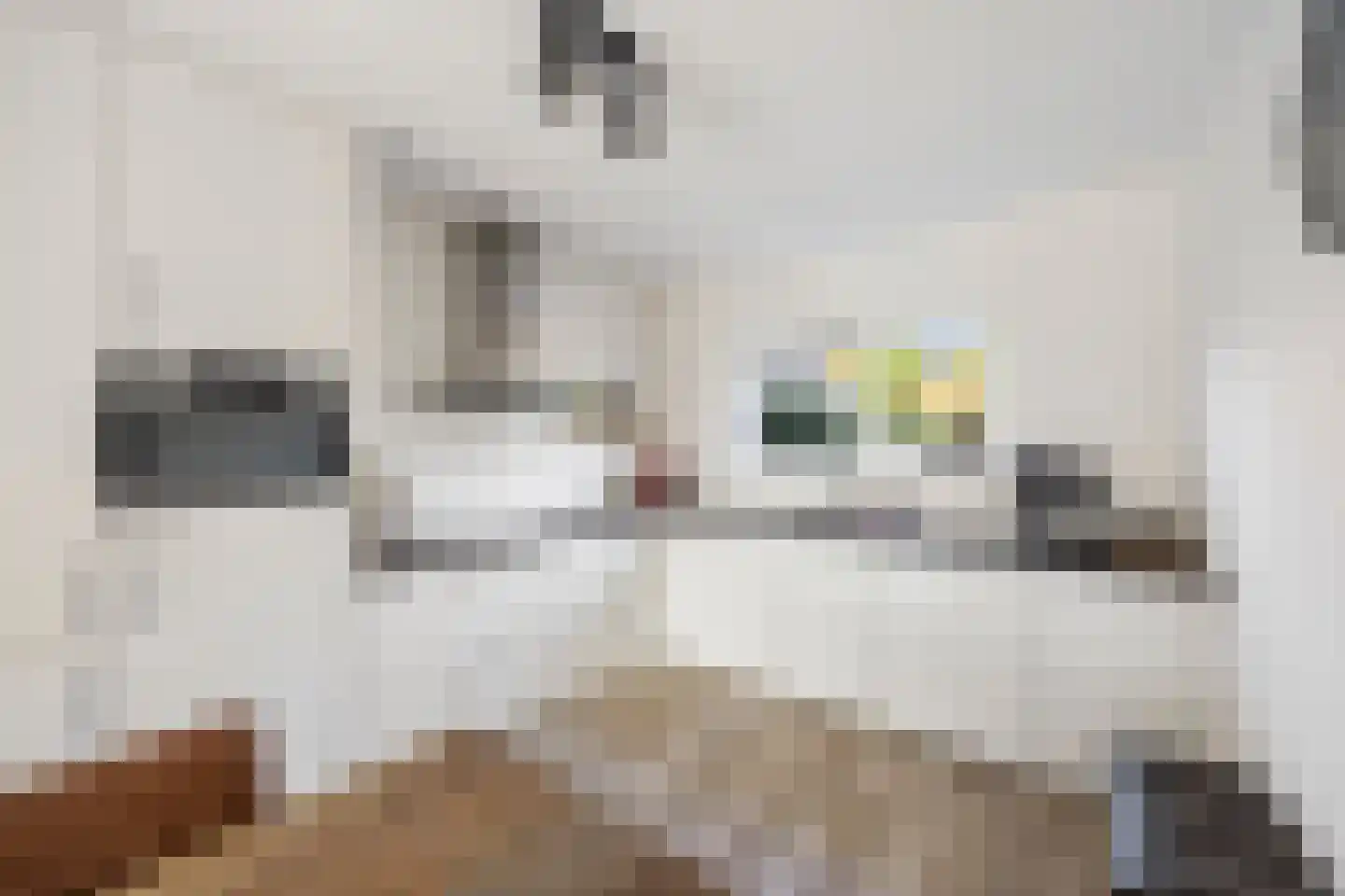 Boeijenkamp 66 Voorthuizen thumbnail 12