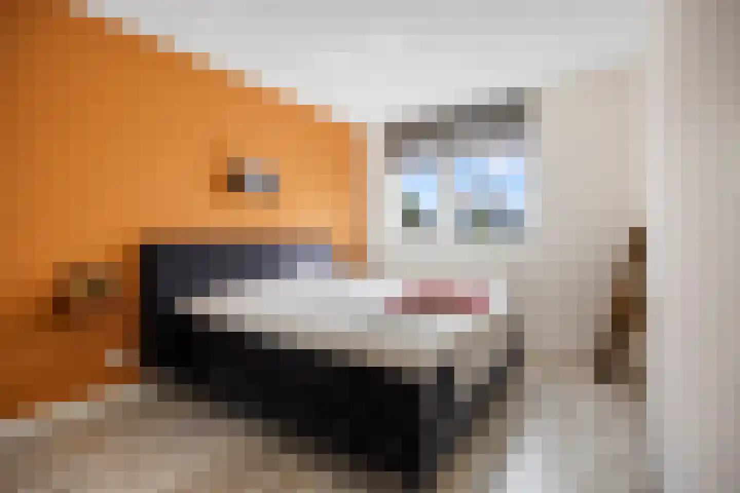 Boeijenkamp 66 Voorthuizen thumbnail 16