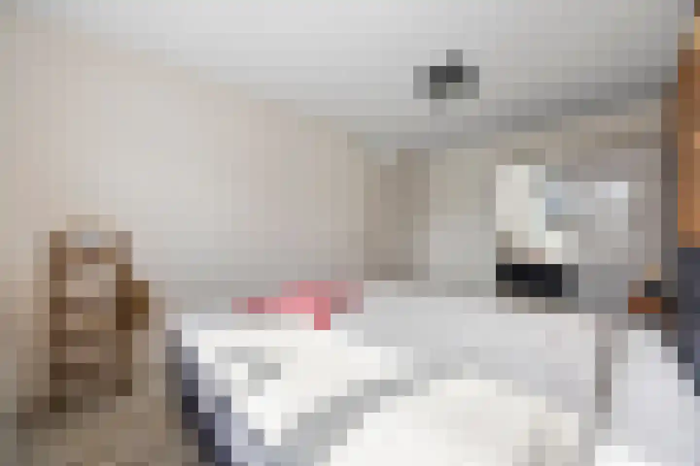 Boeijenkamp 66 Voorthuizen thumbnail 17