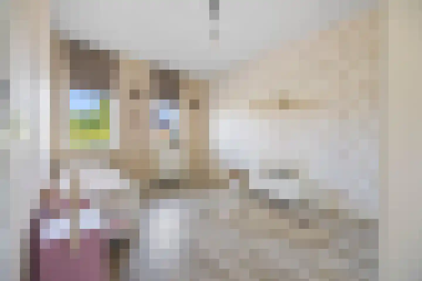 Boeijenkamp 66 Voorthuizen thumbnail 18