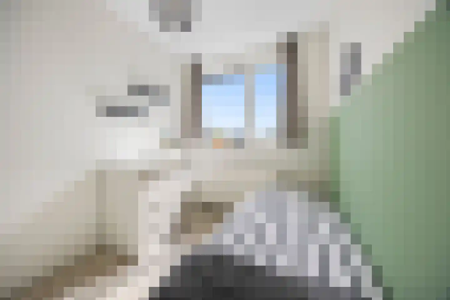 Boeijenkamp 66 Voorthuizen thumbnail 21