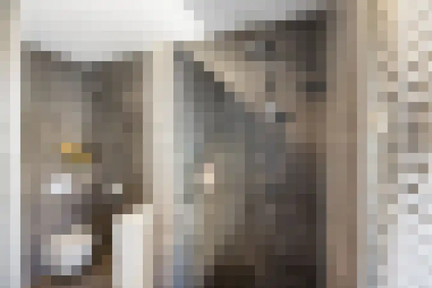 Boeijenkamp 66 Voorthuizen thumbnail 24