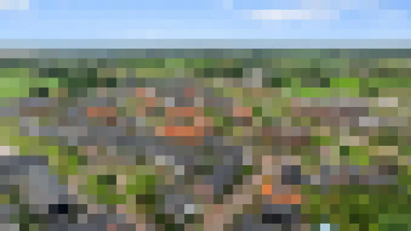 Boeijenkamp 66 Voorthuizen thumbnail 5