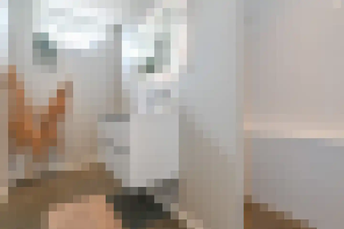 Boeijenkamp 82 Voorthuizen thumbnail 28
