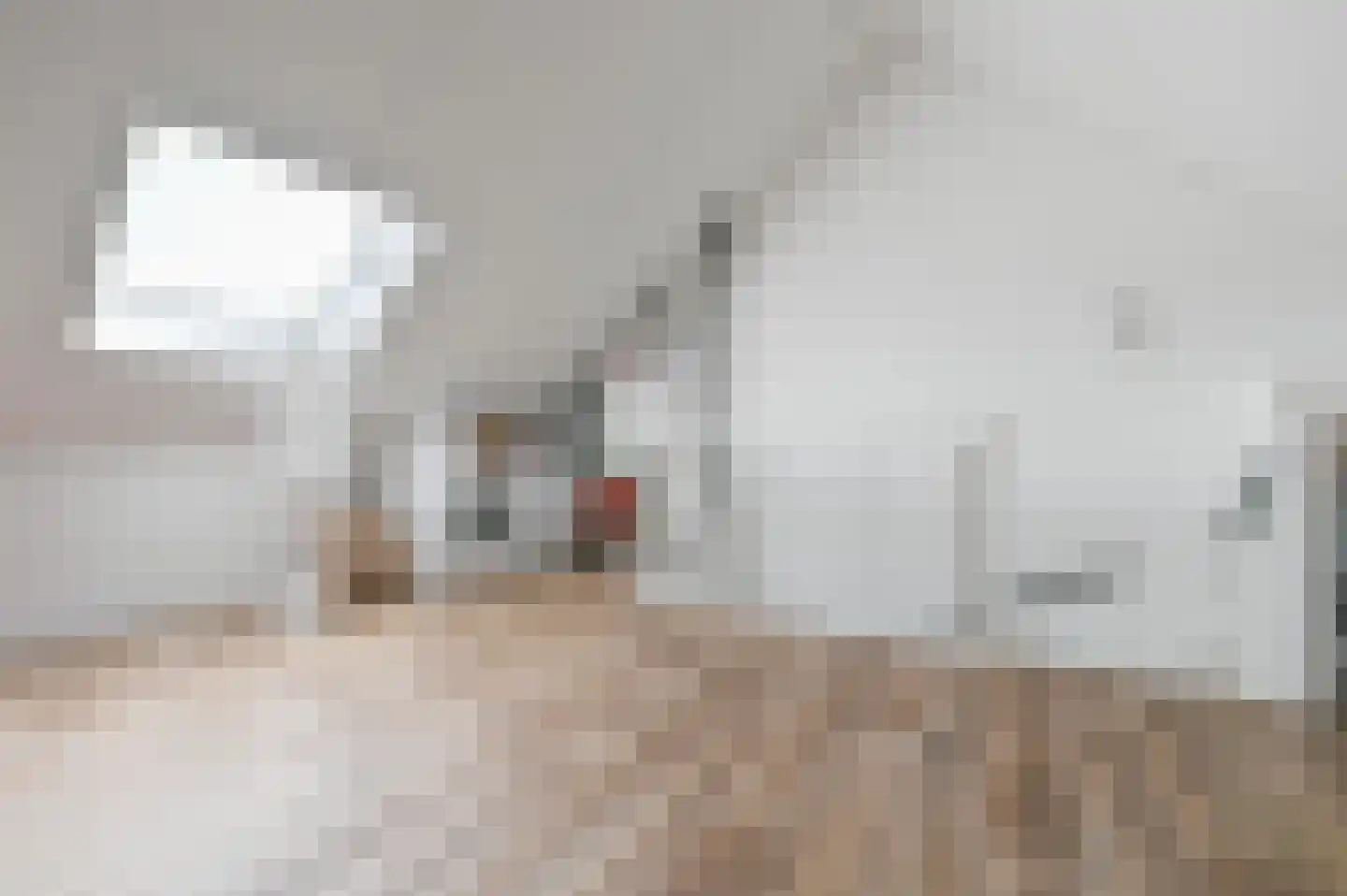 Boeijenkamp 82 Voorthuizen thumbnail 31