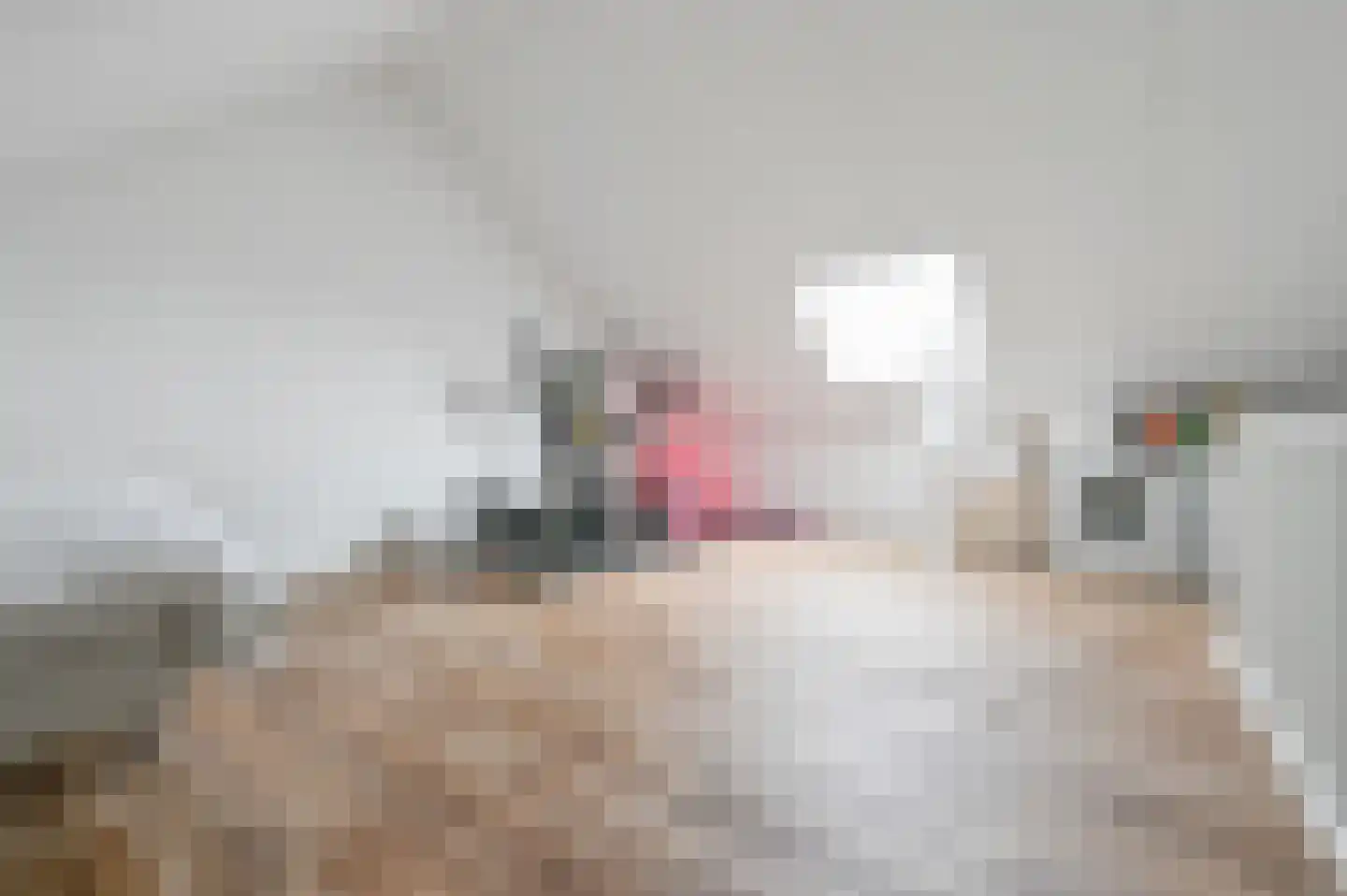 Boeijenkamp 82 Voorthuizen thumbnail 33