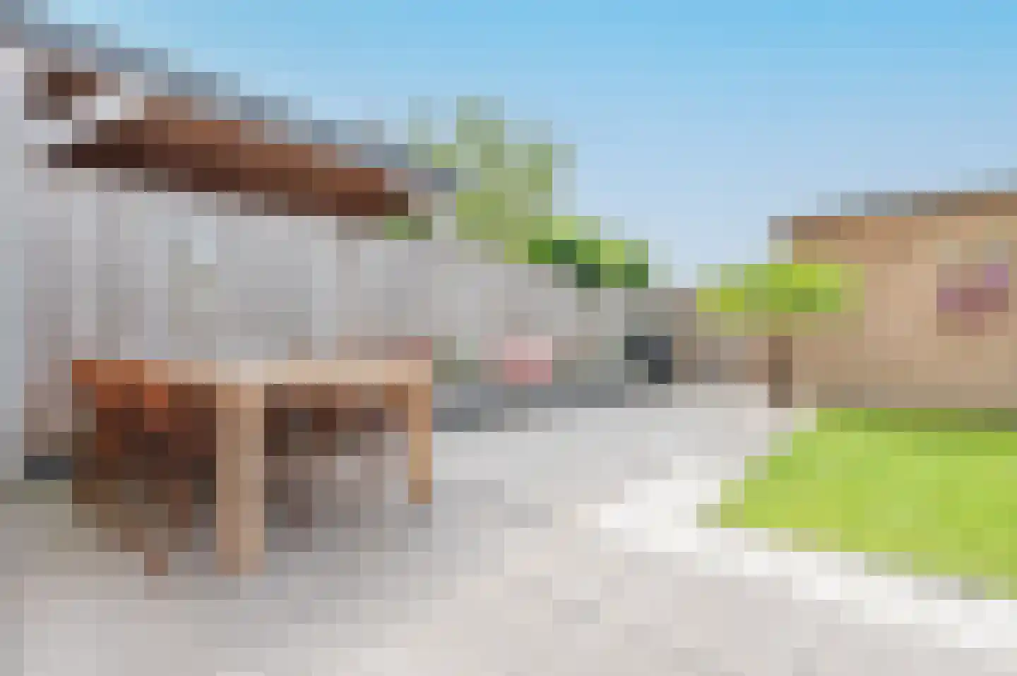 Boeijenkamp 82 Voorthuizen thumbnail 39