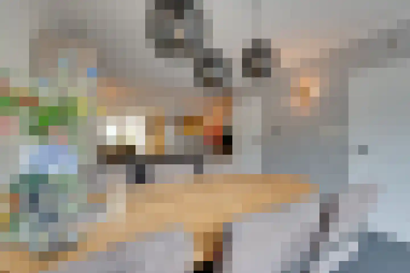 Boeijer 36 Volendam thumbnail 10