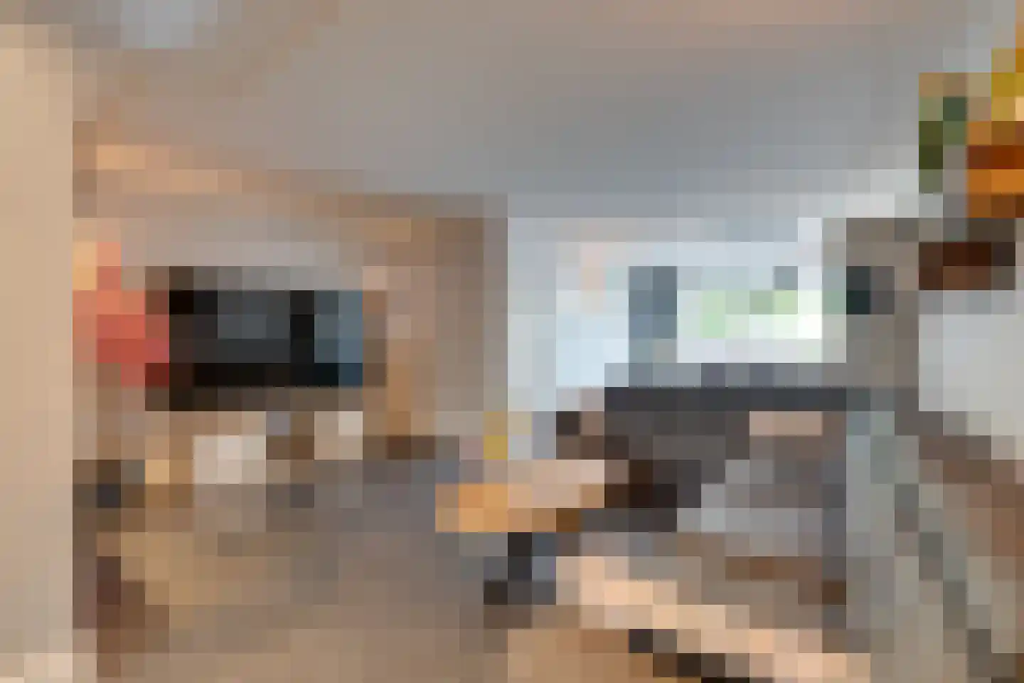 Boeijer 36 Volendam thumbnail 18