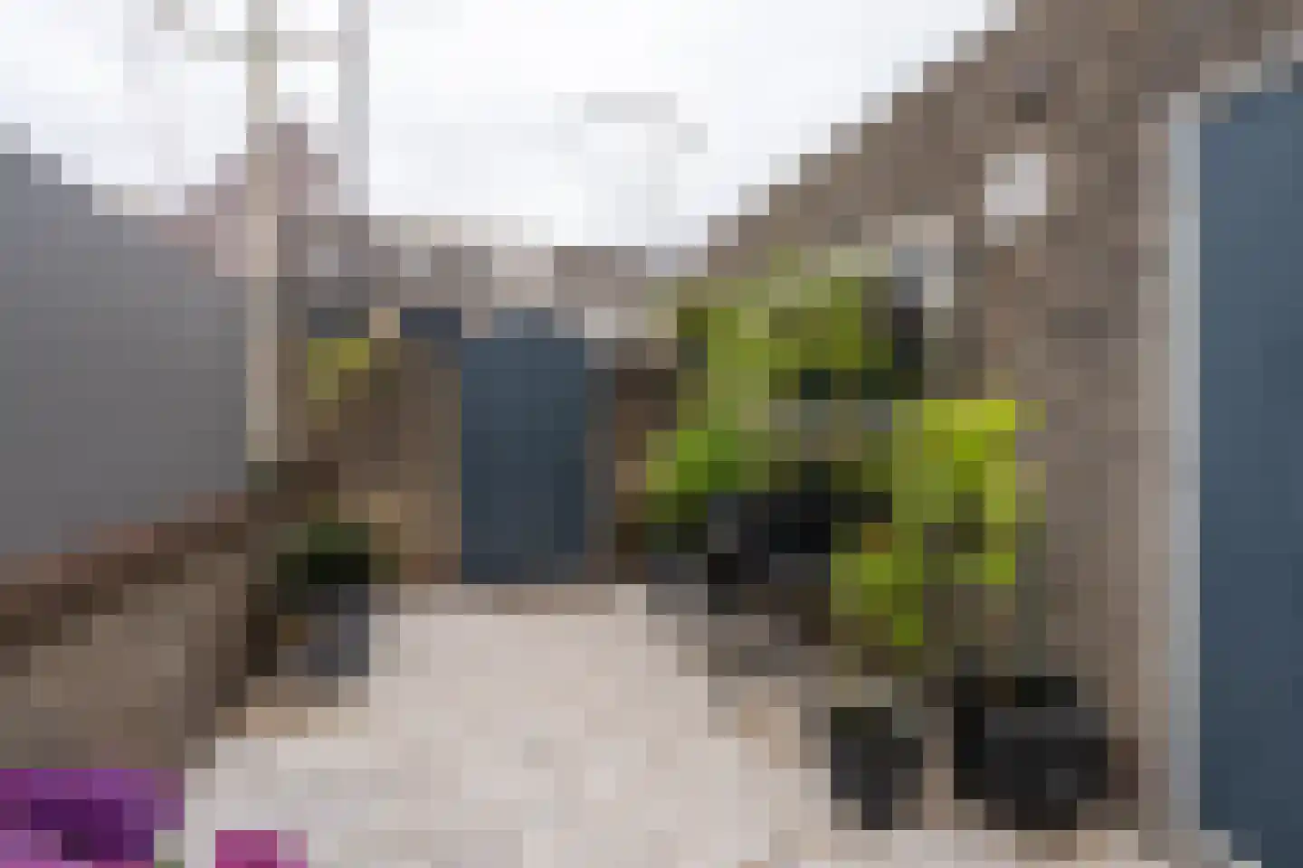 Boeijer 36 Volendam thumbnail 32