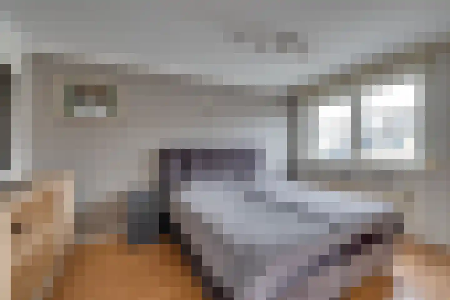Boeijer 36 Volendam thumbnail 35