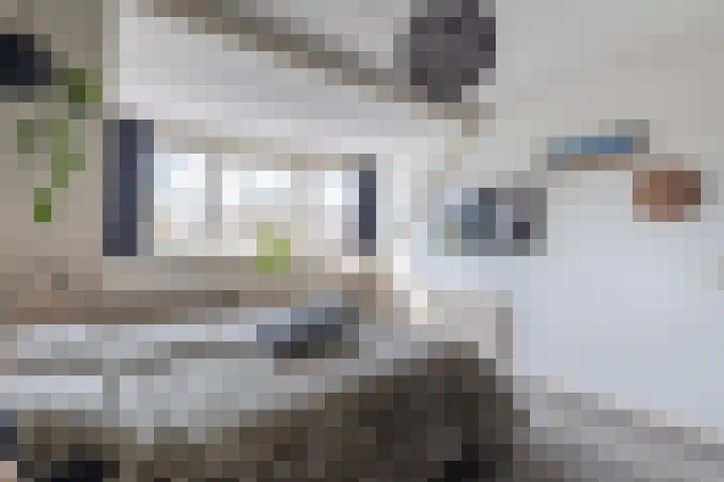 Boeijerstraat 118 De Rijp thumbnail 12