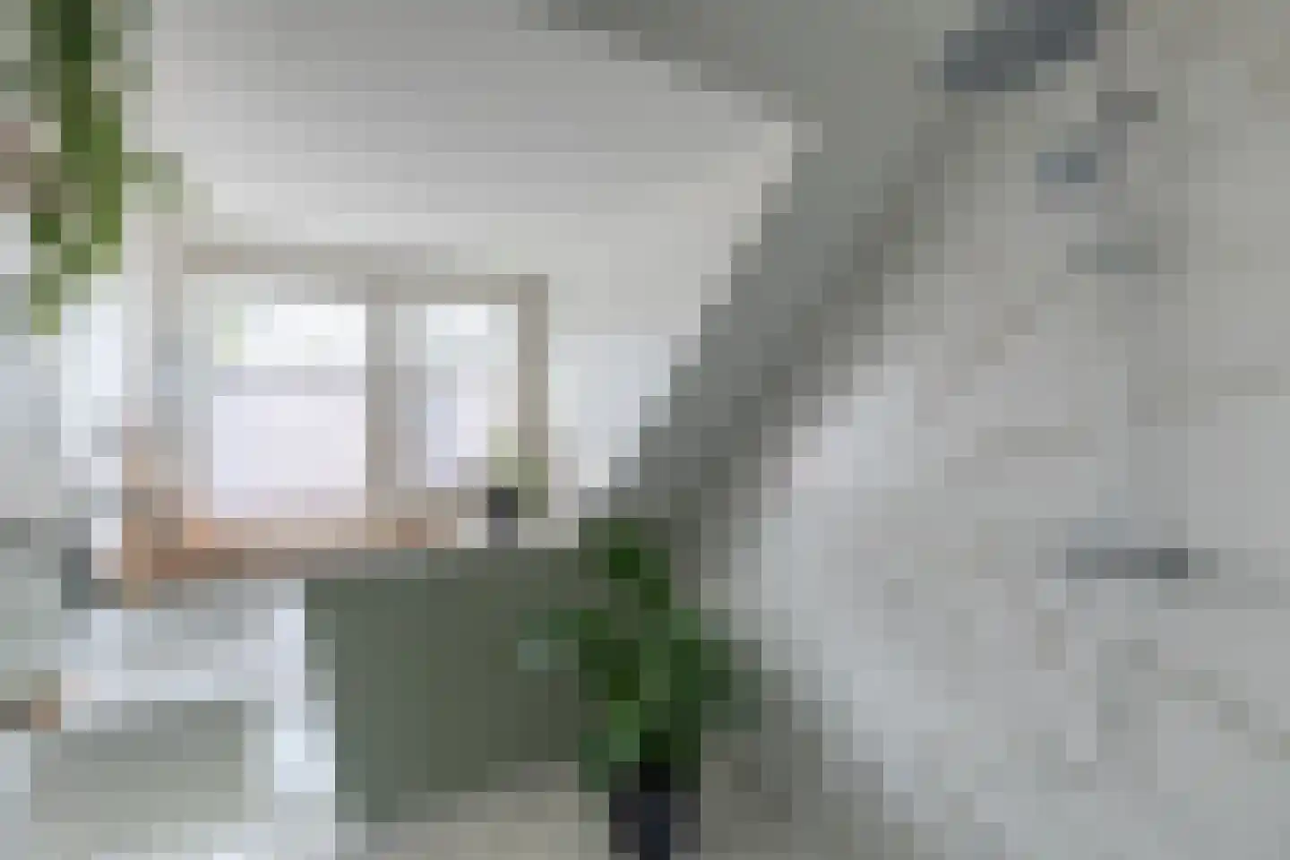 Boeijerstraat 118 De Rijp thumbnail 20