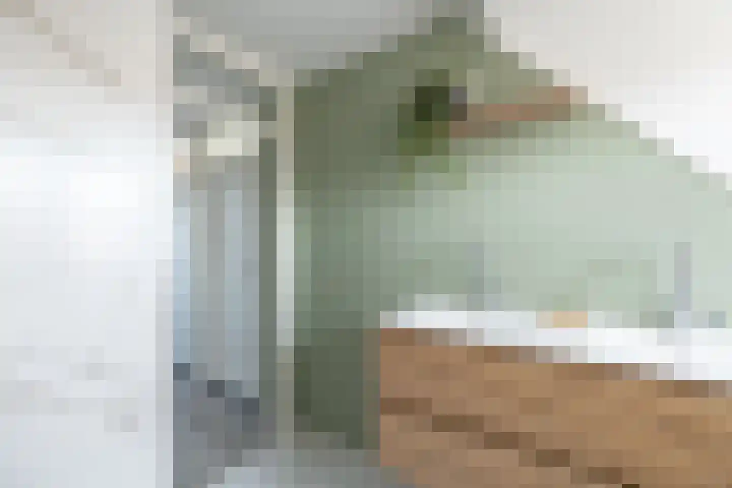 Boeijerstraat 118 De Rijp thumbnail 23
