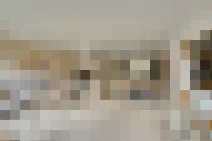 Boeijerstraat 122 De Rijp thumbnail 10