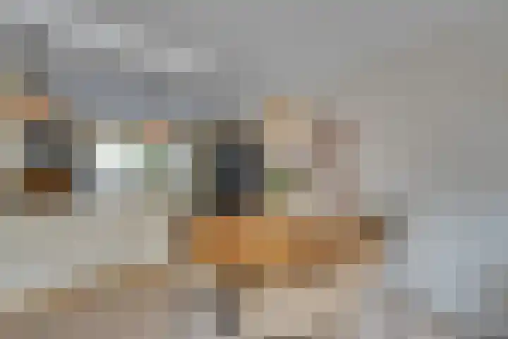 Boeijerstraat 122 De Rijp thumbnail 12