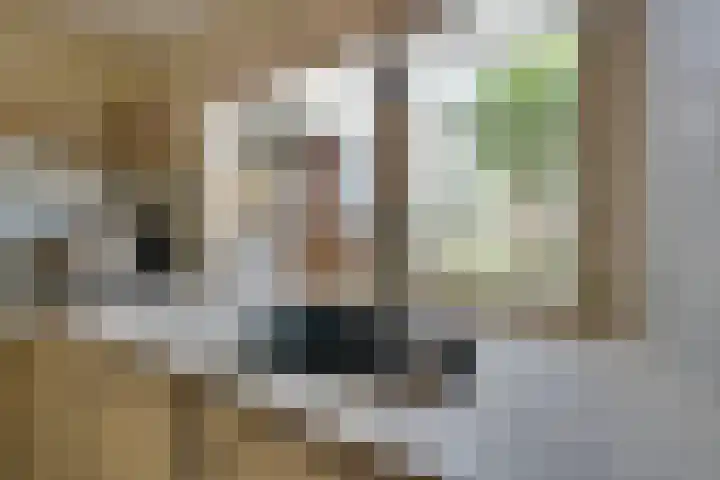 Boeijerstraat 122 De Rijp thumbnail 16