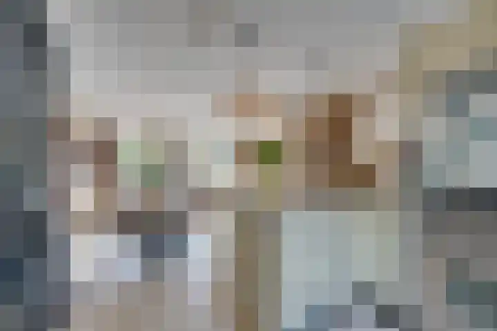 Boeijerstraat 122 De Rijp thumbnail 18