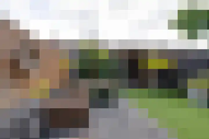 Boeijerstraat 122 De Rijp thumbnail 19