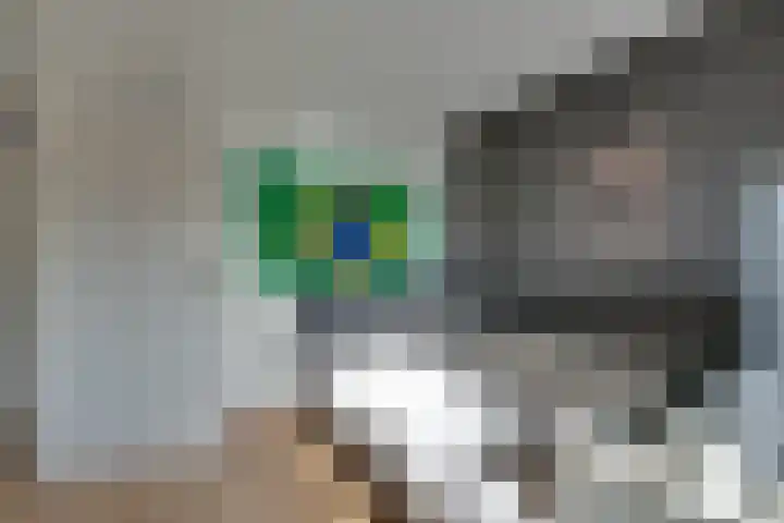 Boeijerstraat 122 De Rijp thumbnail 30