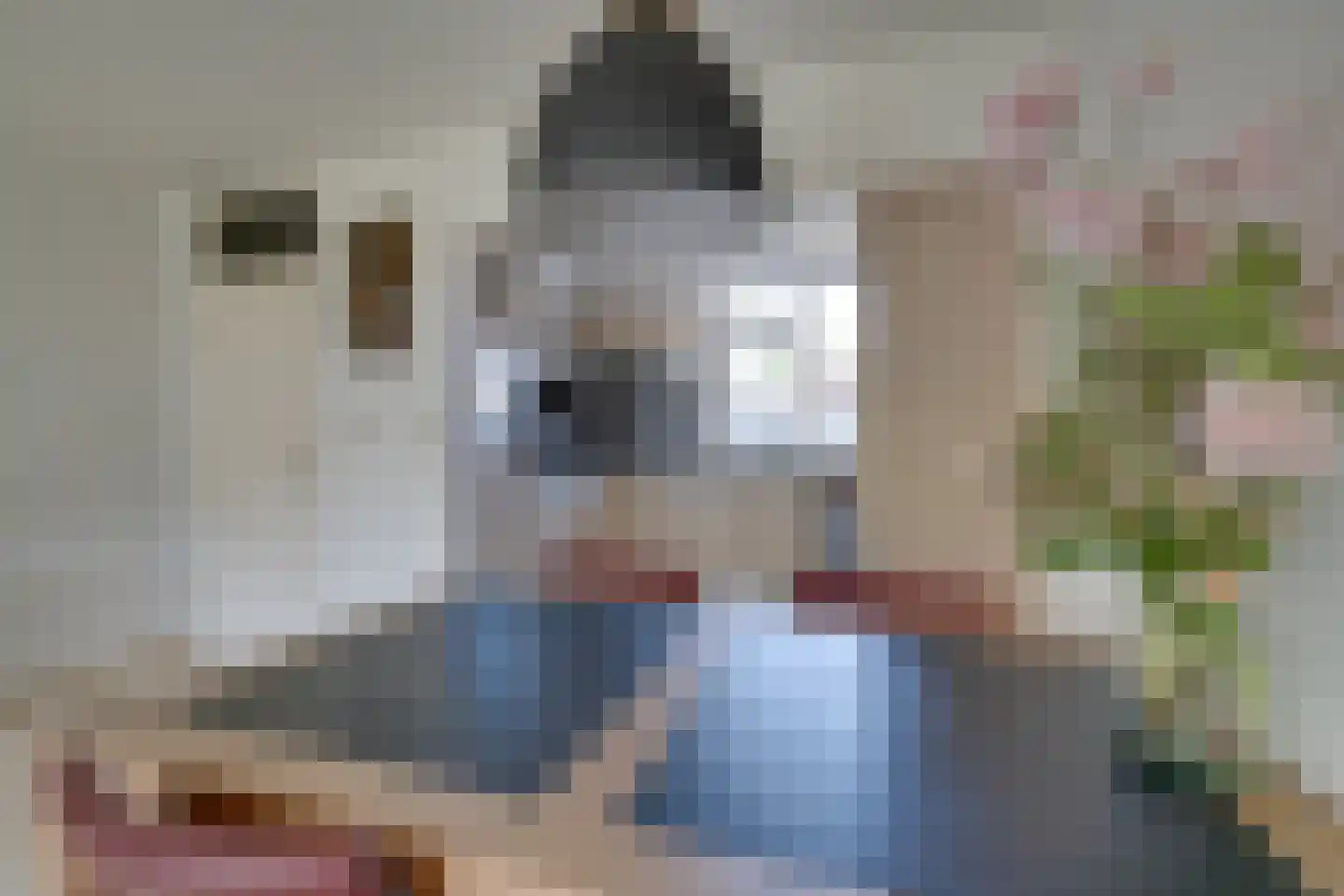 Boeijerstraat 18 De Rijp thumbnail 14