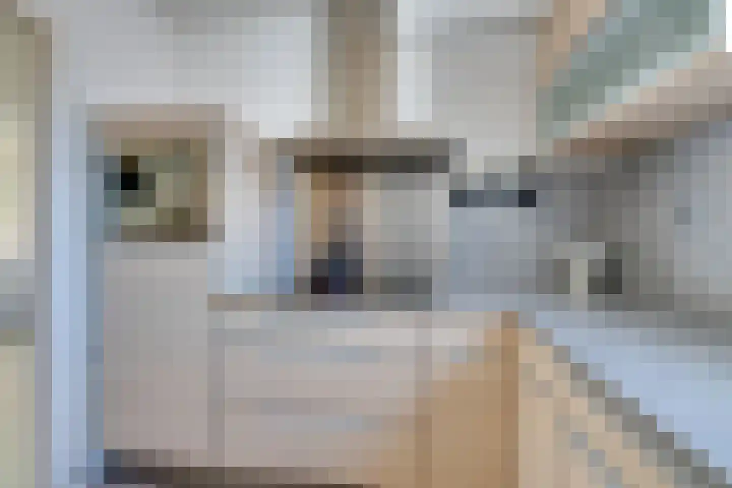 Boeijerstraat 18 De Rijp thumbnail 19