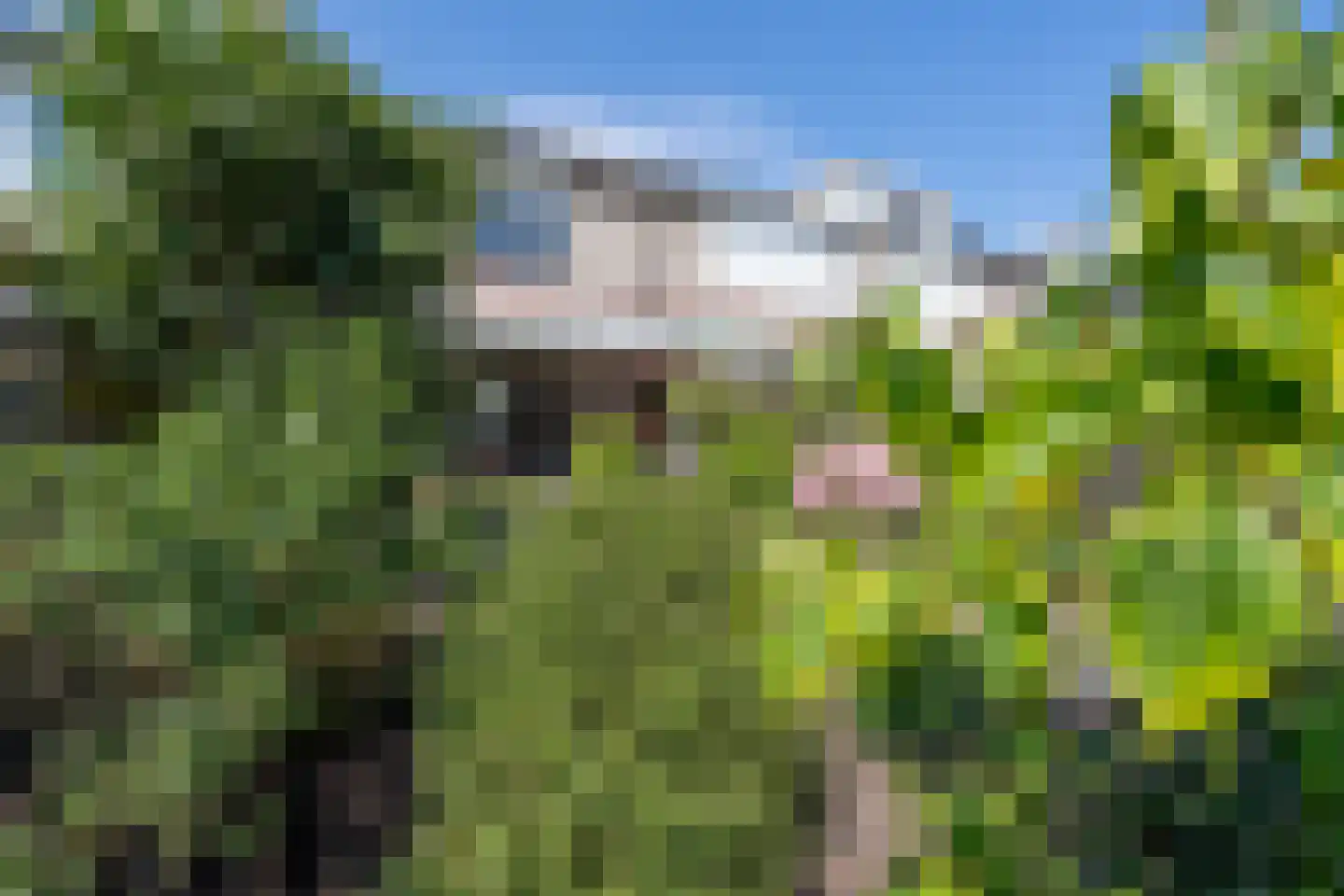 Boeijerstraat 18 De Rijp thumbnail 25