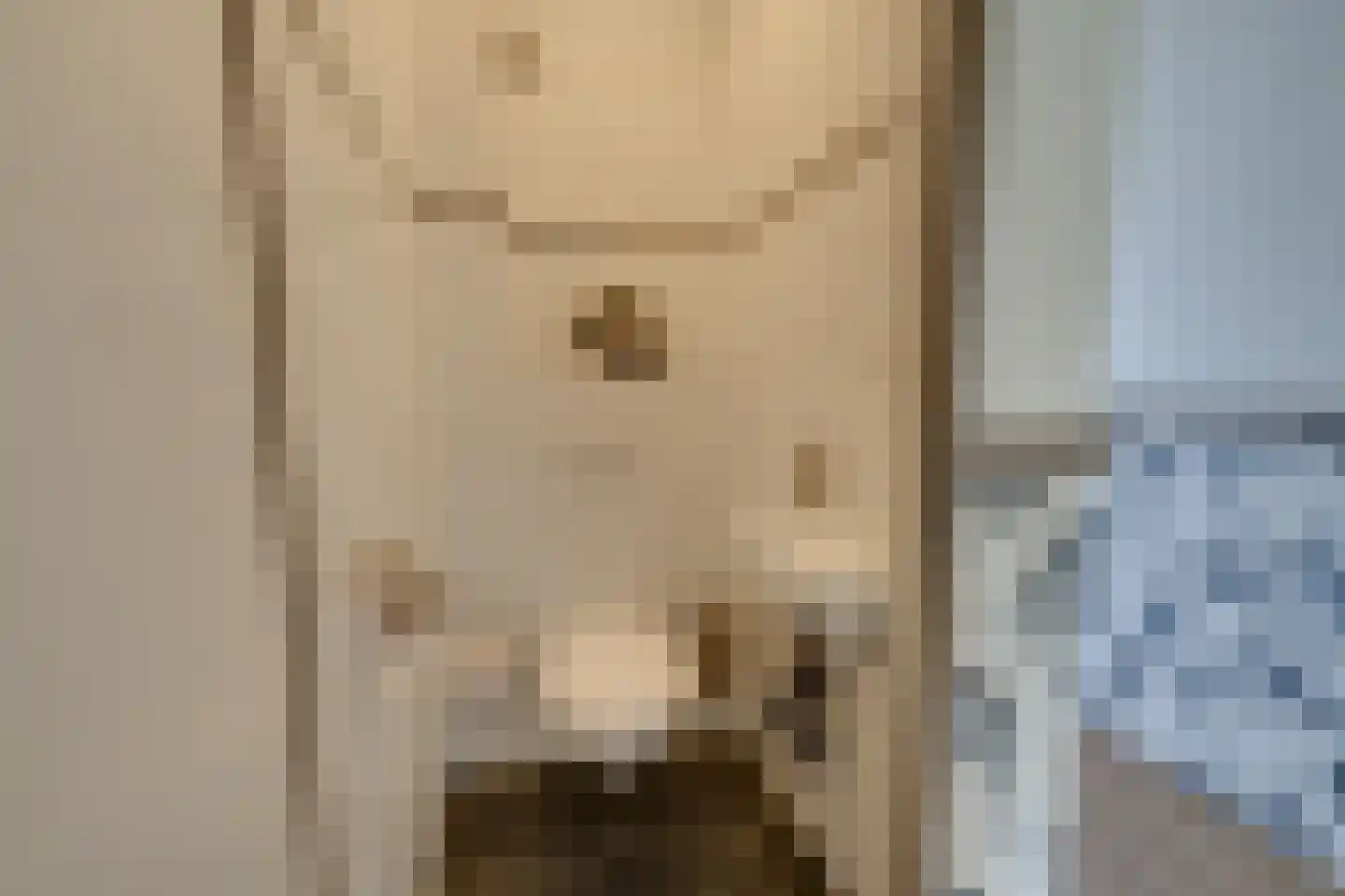 Boeijerstraat 18 De Rijp thumbnail 31