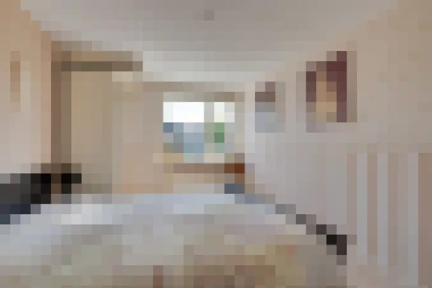 Boeijerstraat 18 De Rijp thumbnail 35