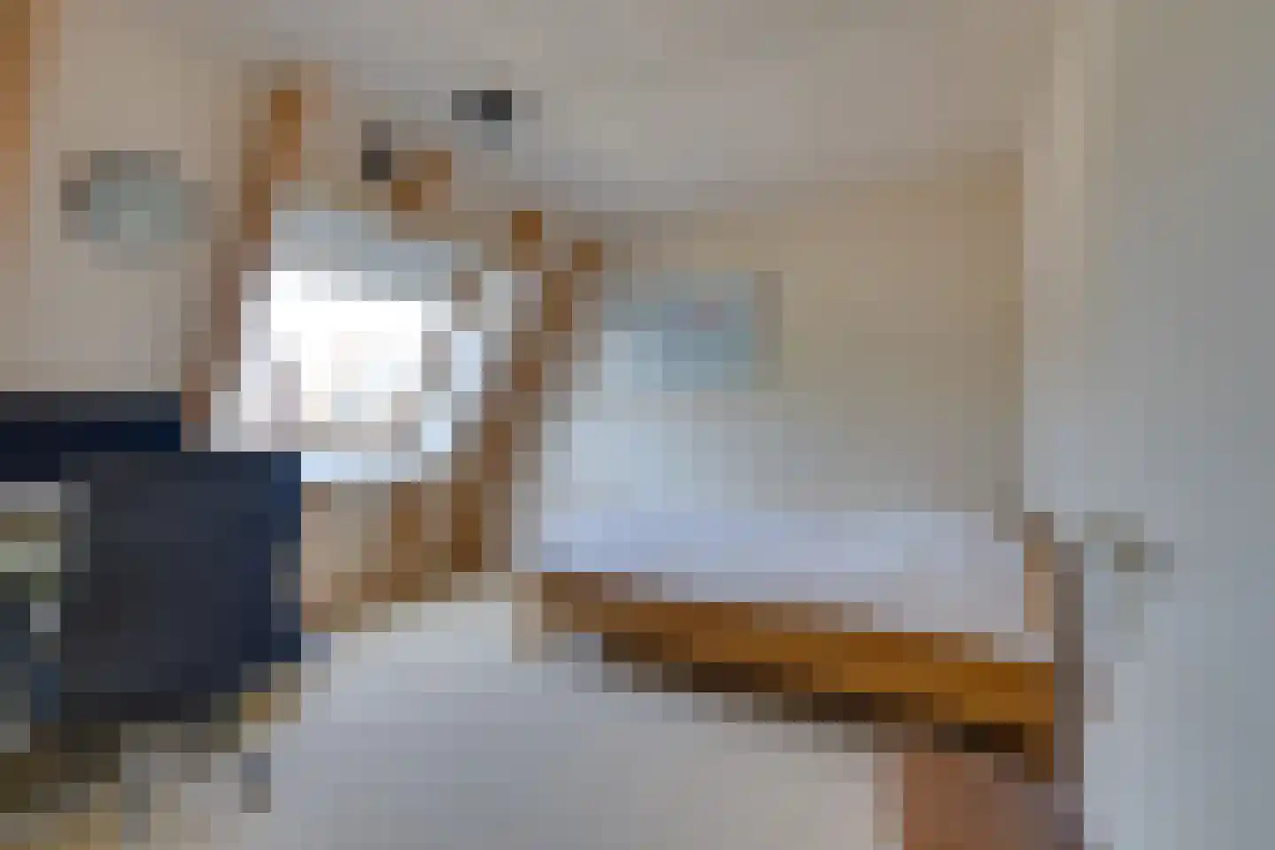 Boeijerstraat 18 De Rijp thumbnail 37