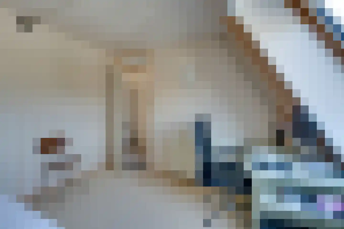 Boeijerstraat 18 De Rijp thumbnail 41