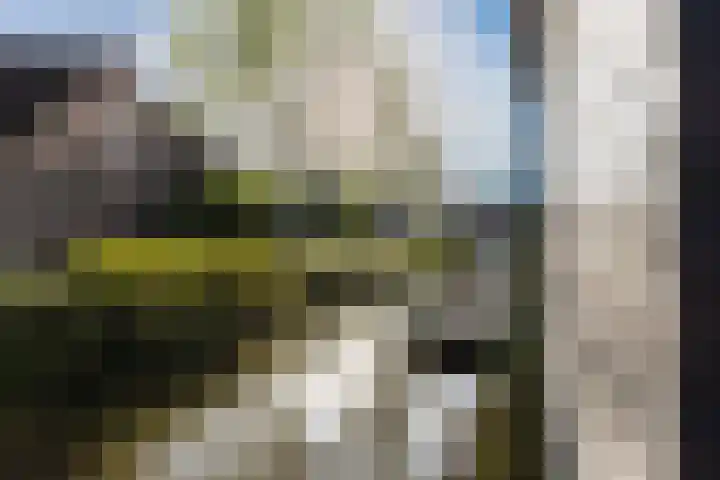 Boeijerstraat 40 De Rijp thumbnail 33
