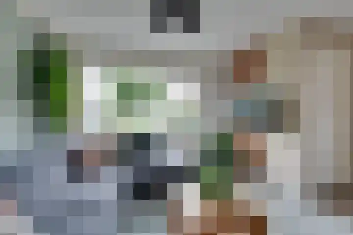 Boeijerstraat 62 De Rijp thumbnail 12