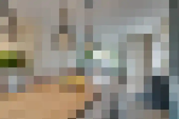 Boeijerstraat 62 De Rijp thumbnail 17