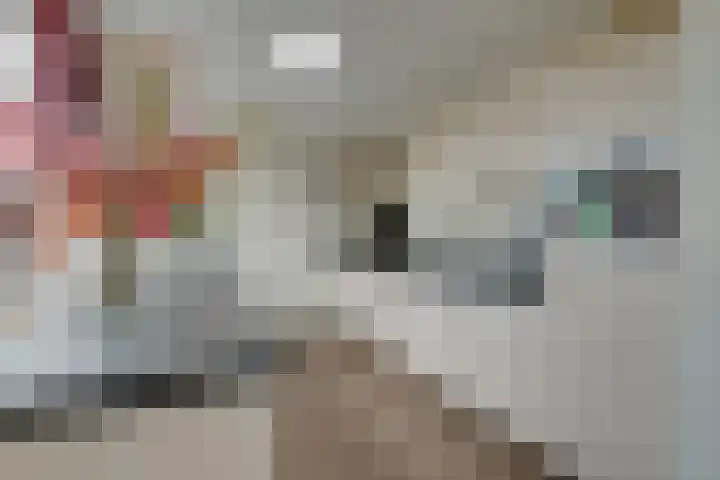 Boeijerstraat 62 De Rijp thumbnail 21