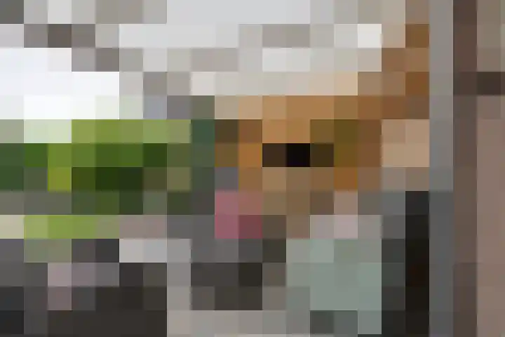 Boeijerstraat 62 De Rijp thumbnail 30