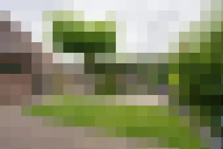 Boeijerstraat 62 De Rijp thumbnail 31
