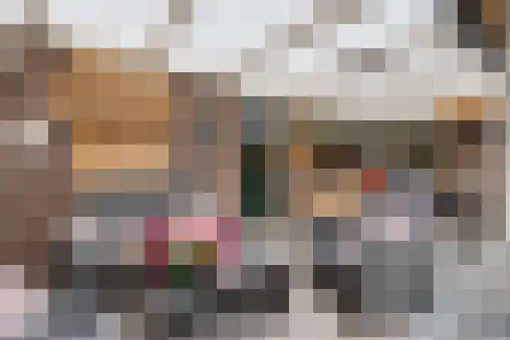 Boeijerstraat 62 De Rijp thumbnail 32
