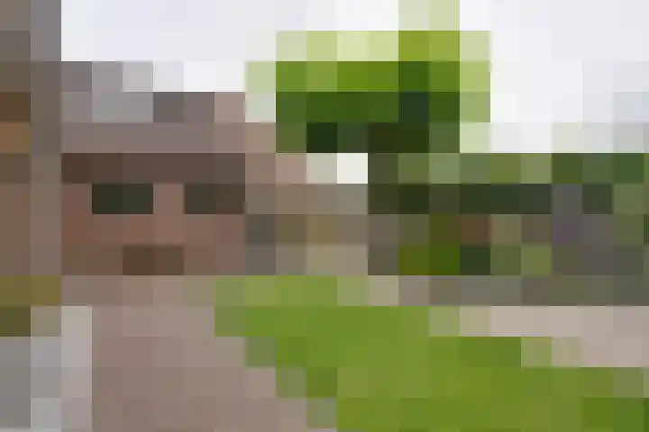 Boeijerstraat 62 De Rijp thumbnail 33